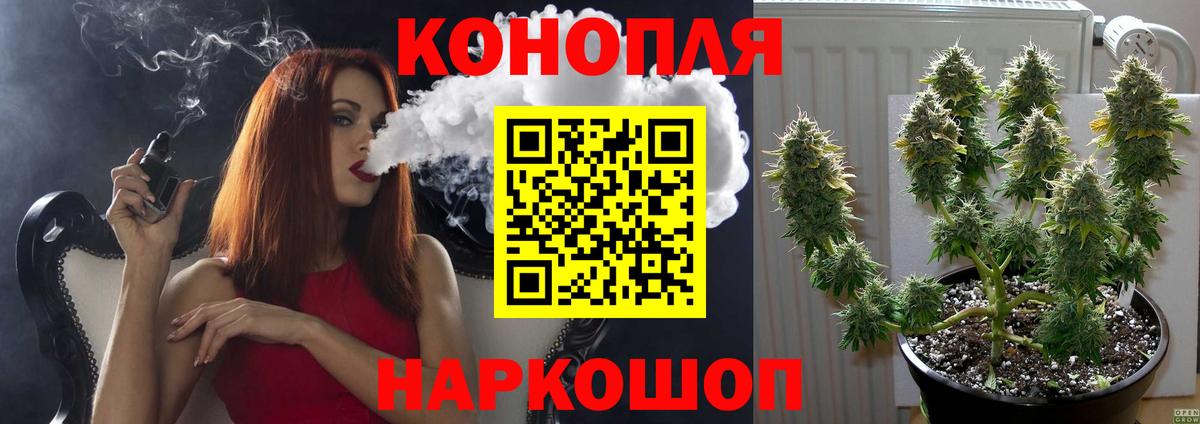 Канабис план Кольчугино